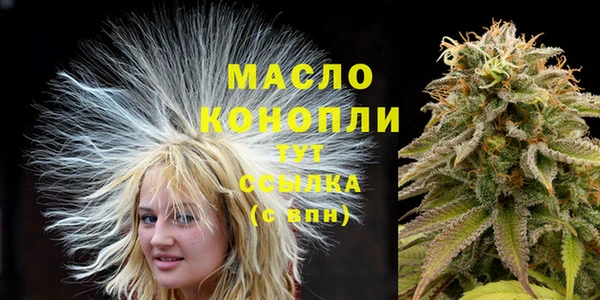 молекула духа Слюдянка