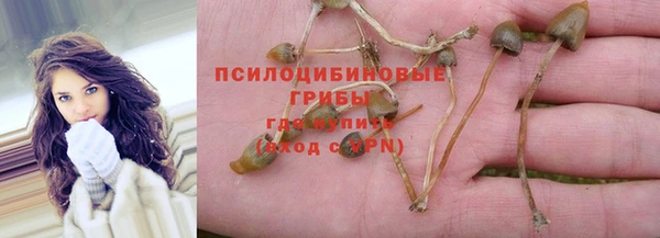 ALPHA PVP Снежинск