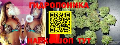 дживик Новодвинск