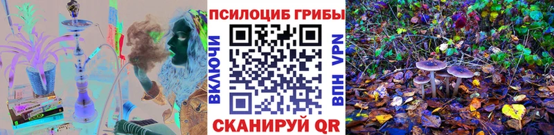 наркотики  Реж  Галлюциногенные грибы MAGIC MUSHROOMS 